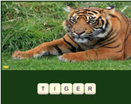 Zoo trivia oktat HTML5 jtk